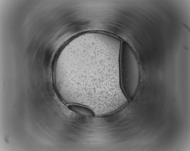 X0000099481072200805231849