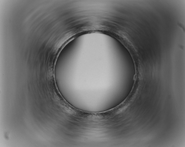 X0000099481073200805231849
