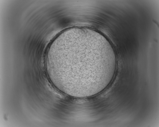 X0000099481074200805231849