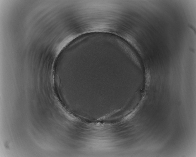 X0000099481077200805231849
