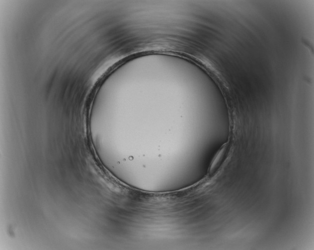 X0000099481078200805231849