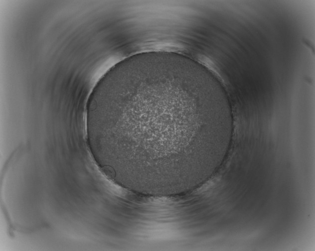 X0000099481079200805231849