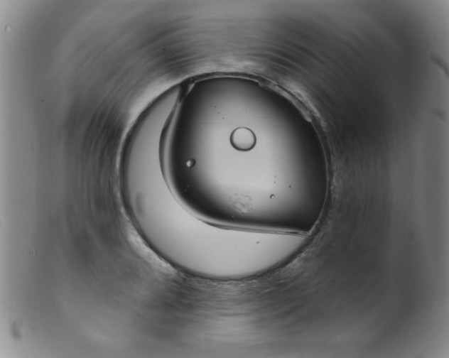 X0000099481080200805231849