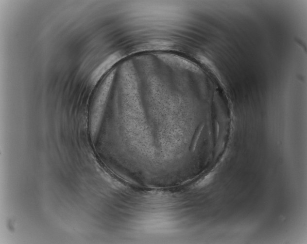 X0000099481081200805231849