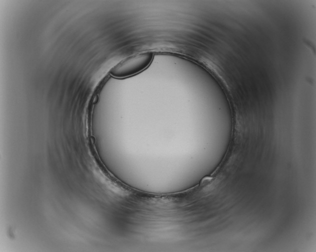 X0000099481082200805231849