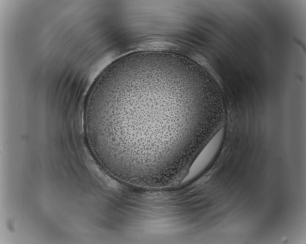 X0000099481083200805231849