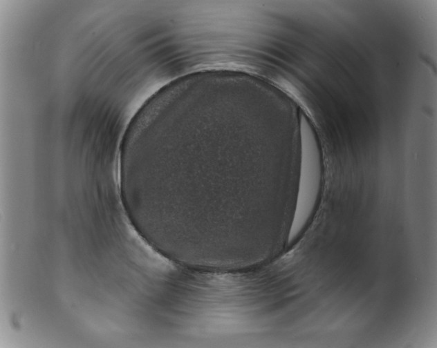 X0000099481084200805231849