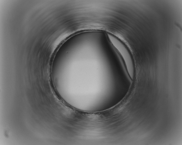 X0000099481085200805231849