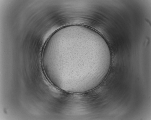 X0000099481086200805231849