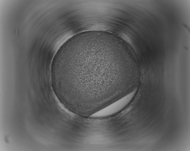 X0000099481087200805231849