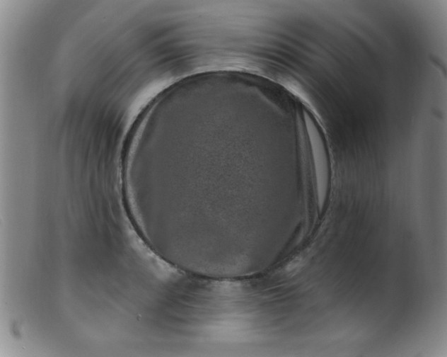 X0000099481088200805231849