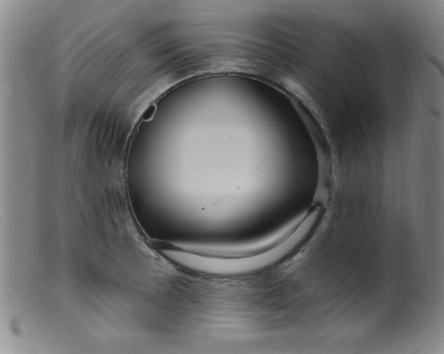 X0000099481089200805231849
