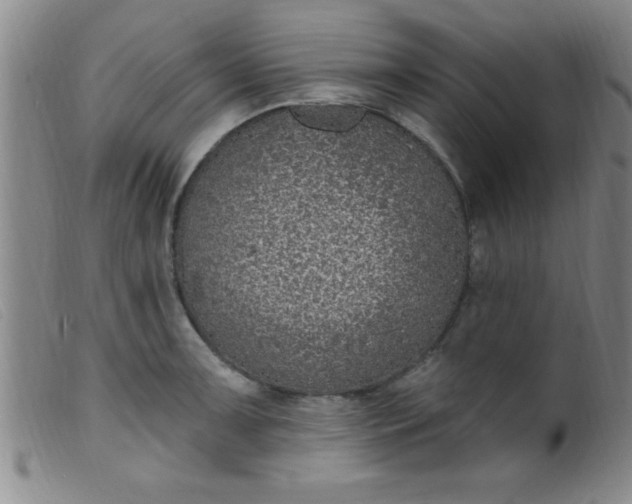 X0000099481091200805231849