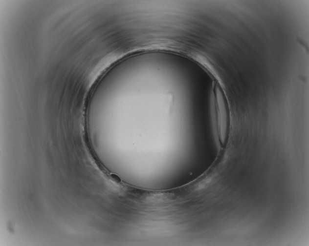 X0000099481093200805231849