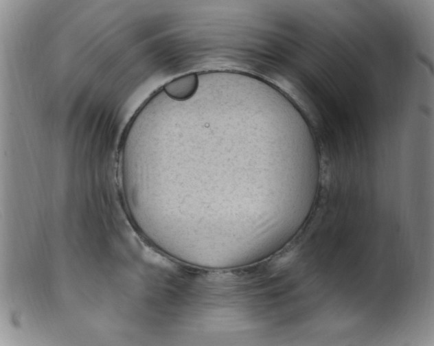 X0000099481094200805231849