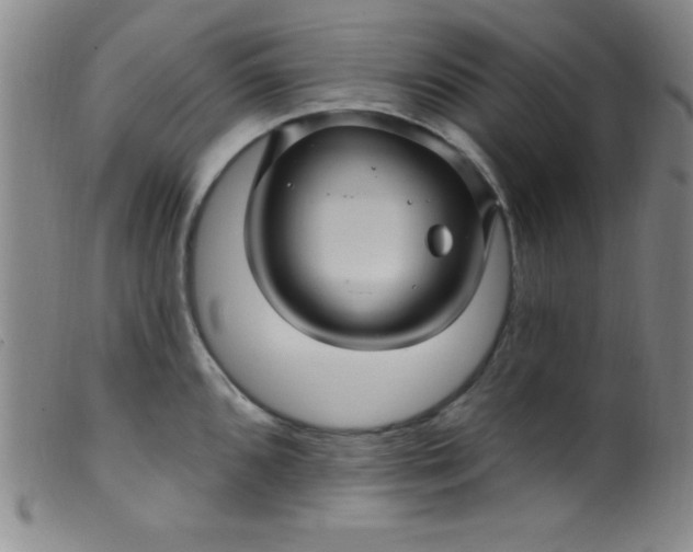X0000099481096200805231849