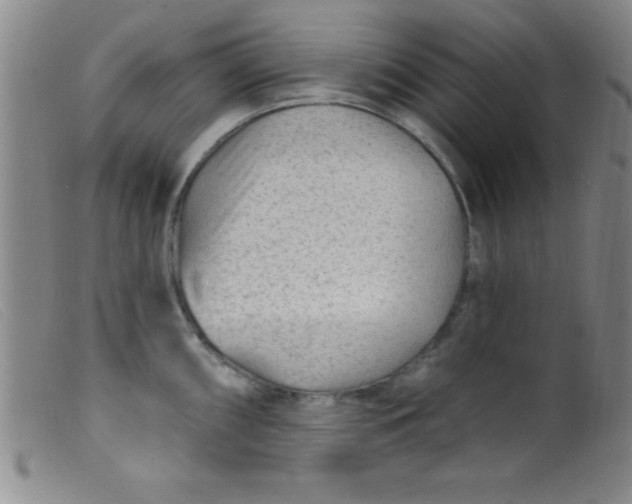 X0000099481098200805231849