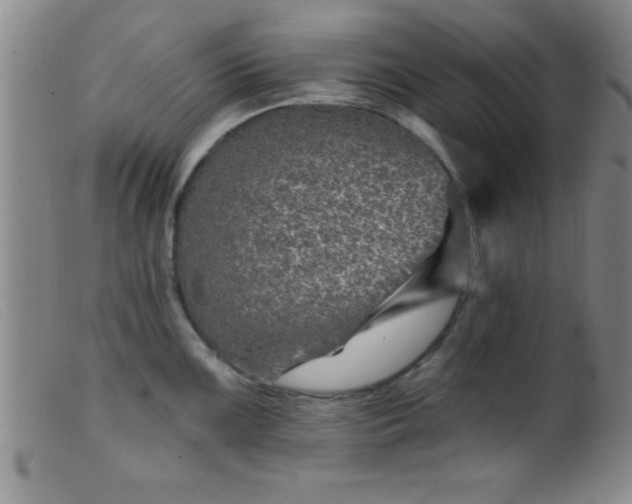 X0000099481099200805231849