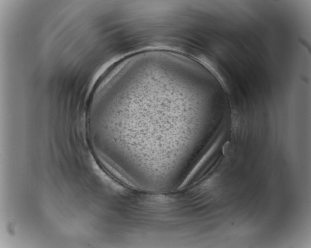 X0000099481100200805231849