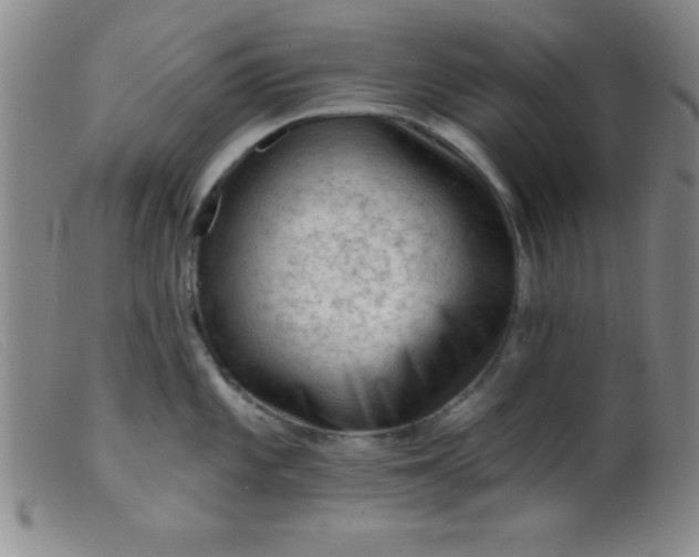 X0000099481101200805231849