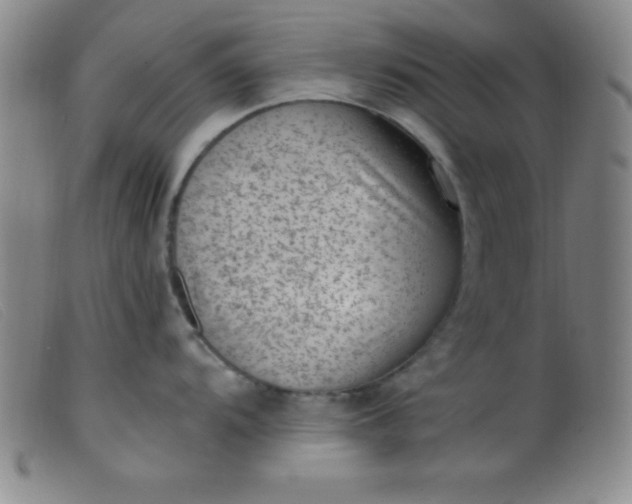 X0000099481104200805231849