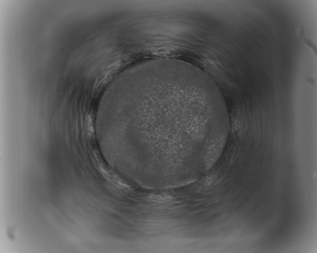 X0000099481106200805231848
