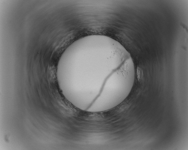 X0000099481107200805231848