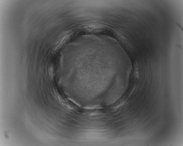 X0000099481108200805231848