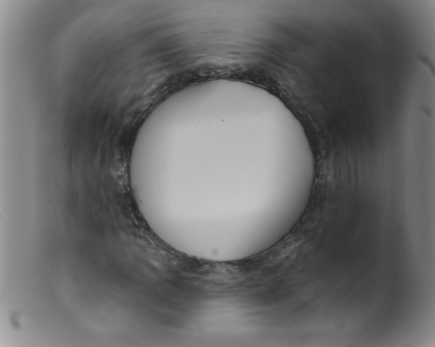 X0000099481109200805231848