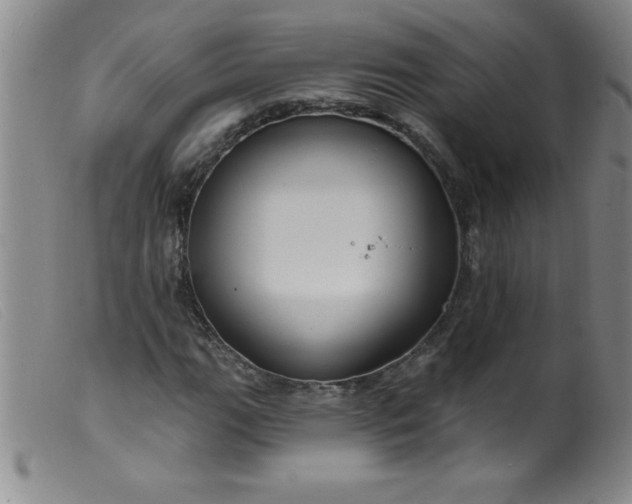 X0000099481111200805231848