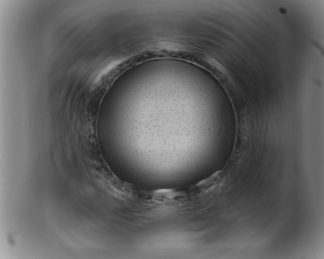 X0000099481112200805231848