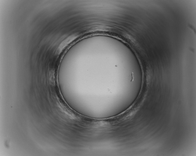 X0000099481113200805231848