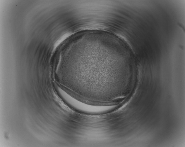 X0000099481114200805231848