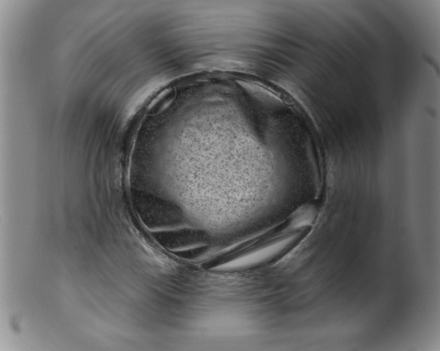 X0000099481115200805231848