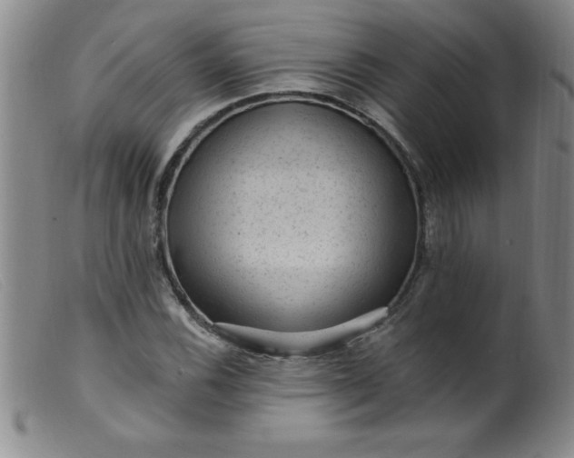 X0000099481116200805231848