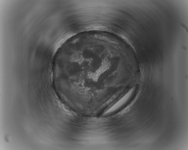 X0000099481117200805231849
