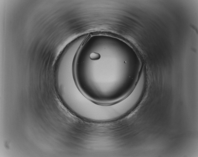 X0000099481118200805231849