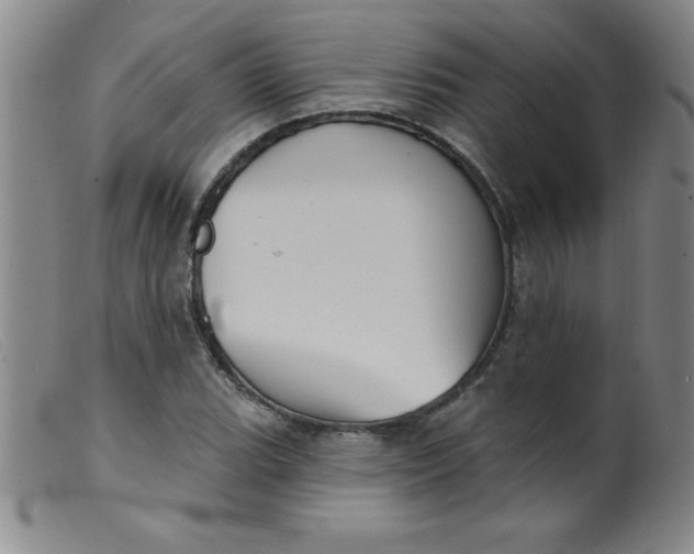 X0000099481119200805231849