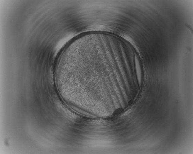 X0000099481120200805231849