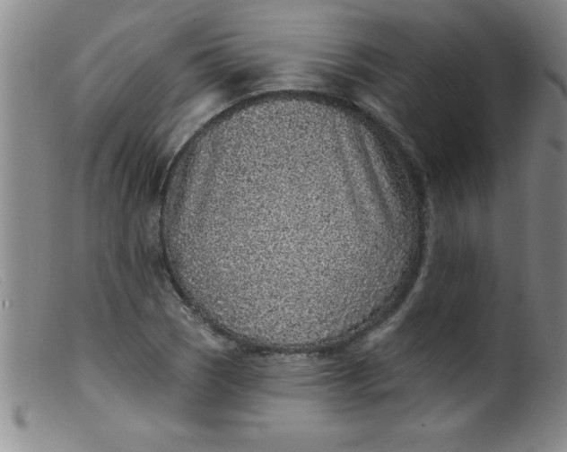 X0000099481121200805231849