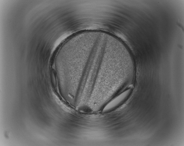 X0000099481122200805231849