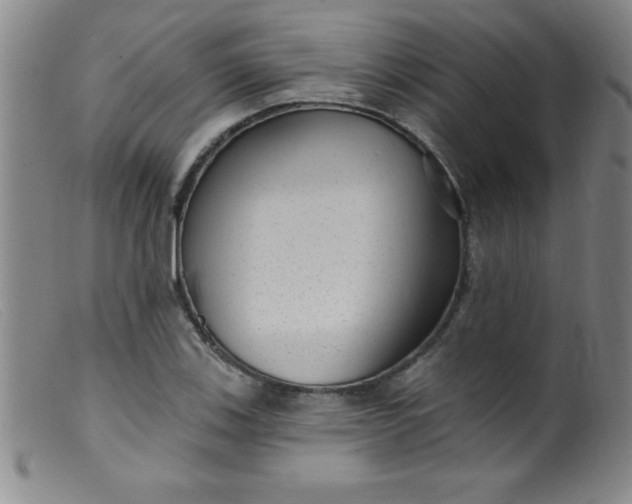 X0000099481123200805231849
