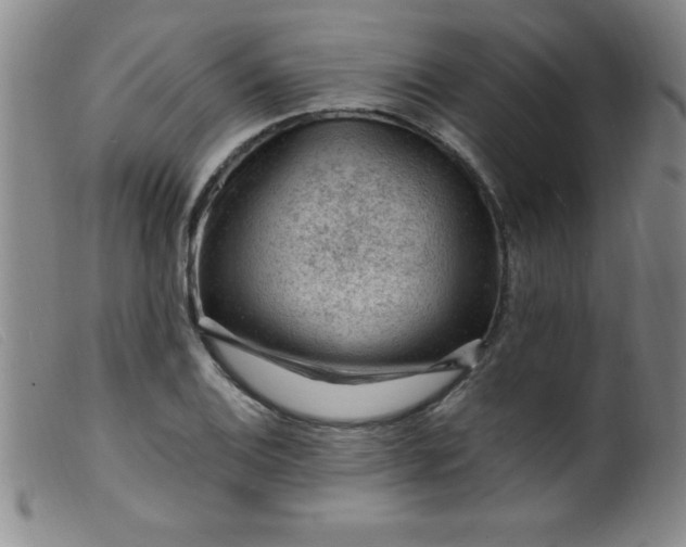 X0000099481124200805231849