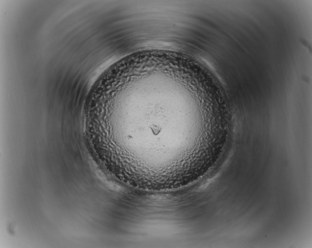 X0000099481125200805231849