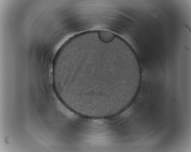 X0000099481126200805231849