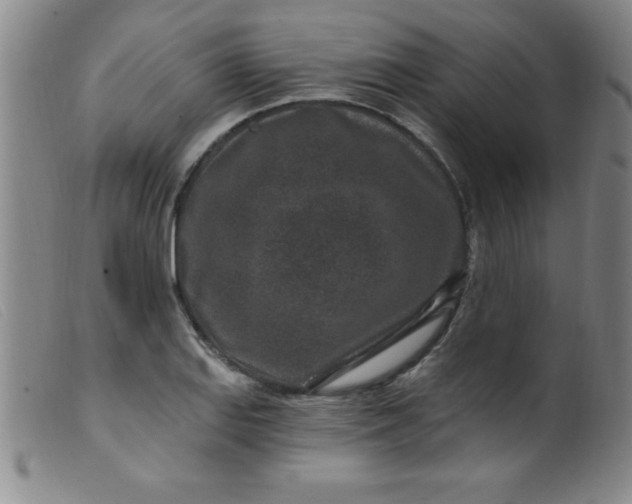 X0000099481127200805231849