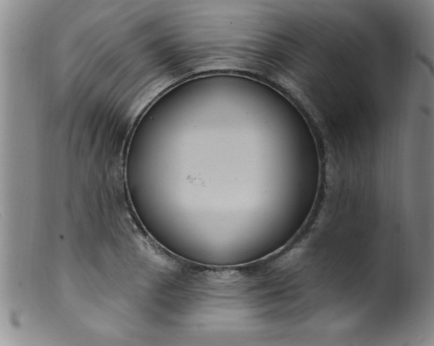 X0000099481129200805231849