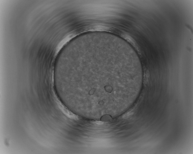 X0000099481130200805231849