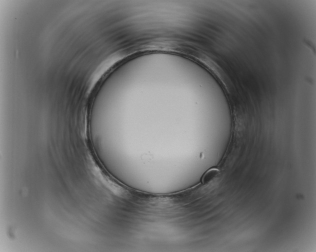 X0000099481131200805231849