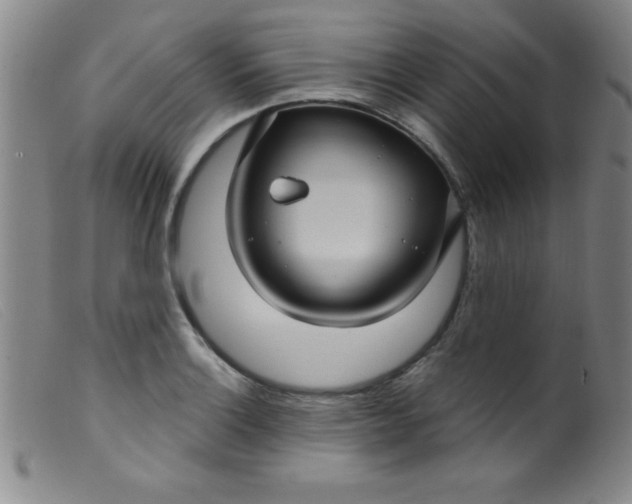 X0000099481132200805231849